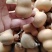 小美的胖墩葫芦通货更优惠