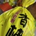 江永香柚发货吧