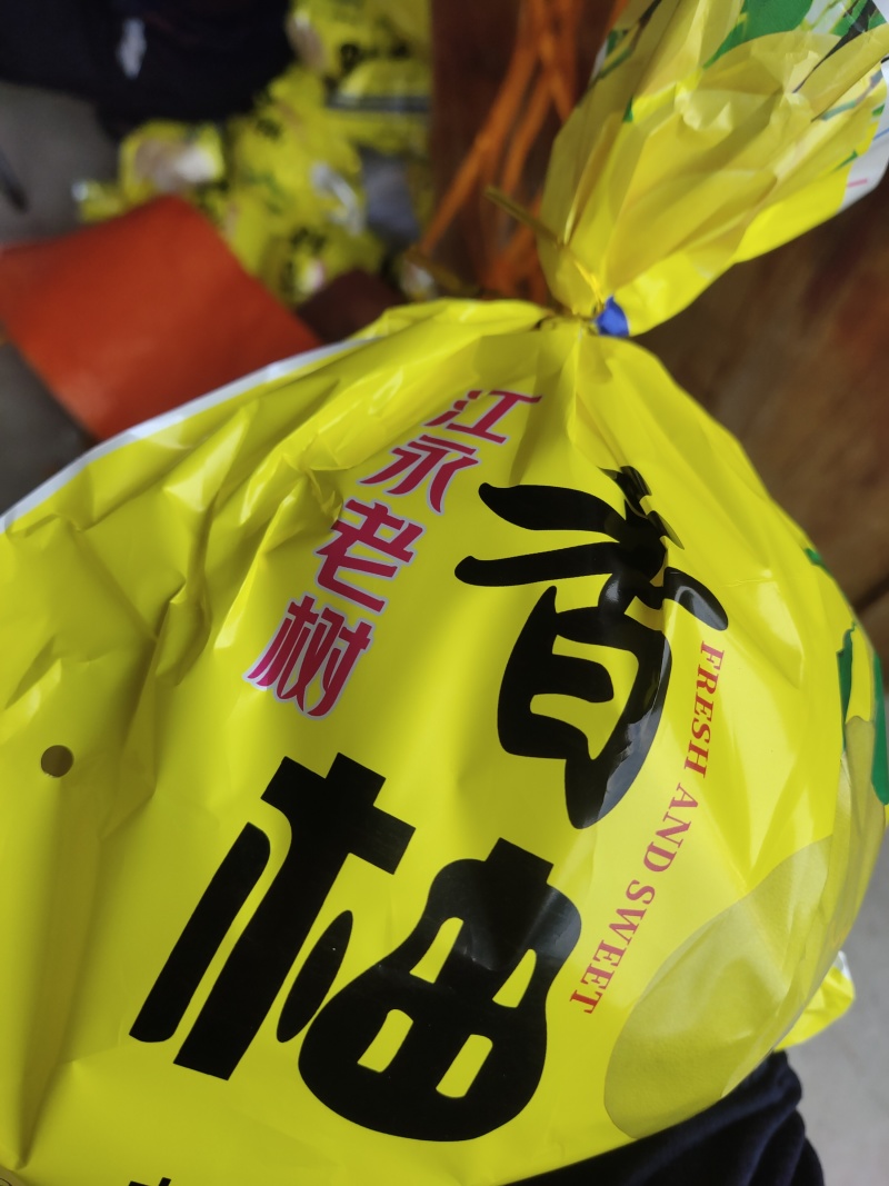 江永香柚发货吧