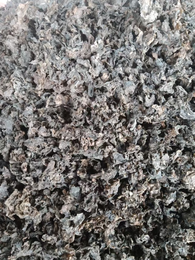 免洗地皮菜/甘肃野菜/干货地软干地达菜/价格便宜