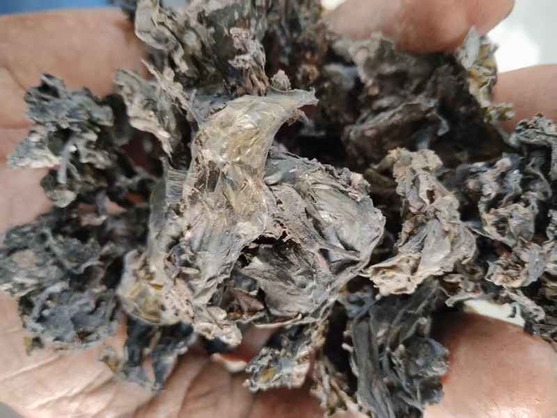免洗地皮菜/甘肃野菜/干货地软干地达菜/价格便宜