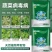 黑丰年绿象病毒病特效叶面肥植物萃取防虫专用绿象叶面肥