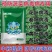 黑丰年绿象病毒病特效叶面肥植物萃取防虫专用绿象叶面肥