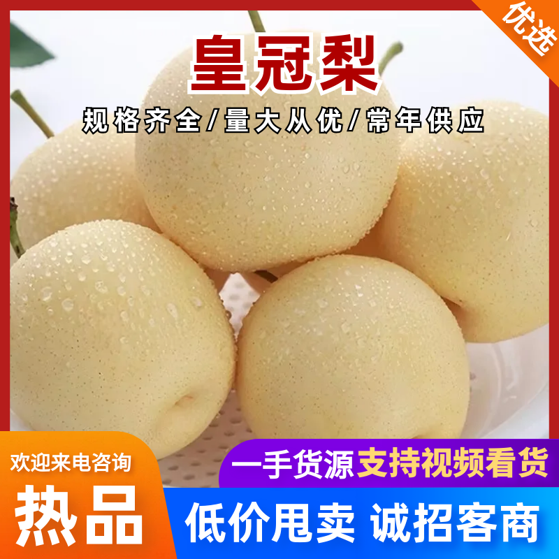 赵县皇冠梨甘甜可口品质保证价格实惠全规格欢迎联系