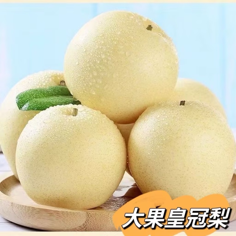 赵县皇冠梨甘甜可口品质保证价格实惠全规格欢迎联系