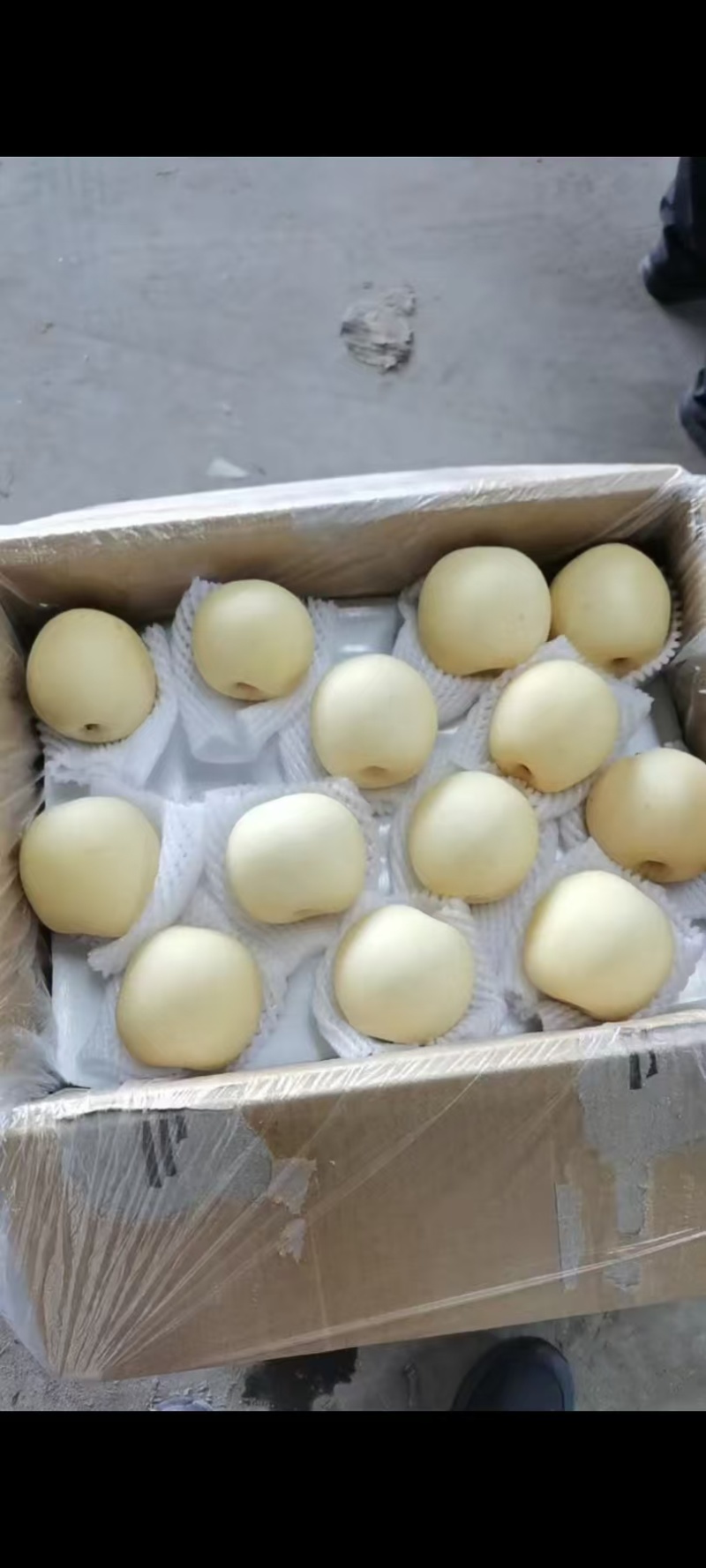 赵县皇冠梨甘甜可口品质保证价格实惠全规格欢迎联系