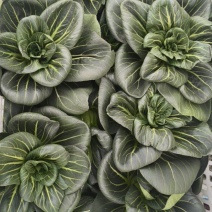 太湖菜