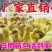 正宗三花大白鹅