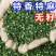 重庆江津青麻椒，大量上市，全国发货，欢迎进店