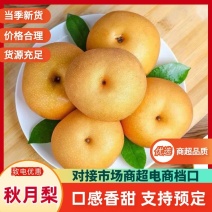 河北精品秋月梨大小均匀清脆可口规格齐全品质保证