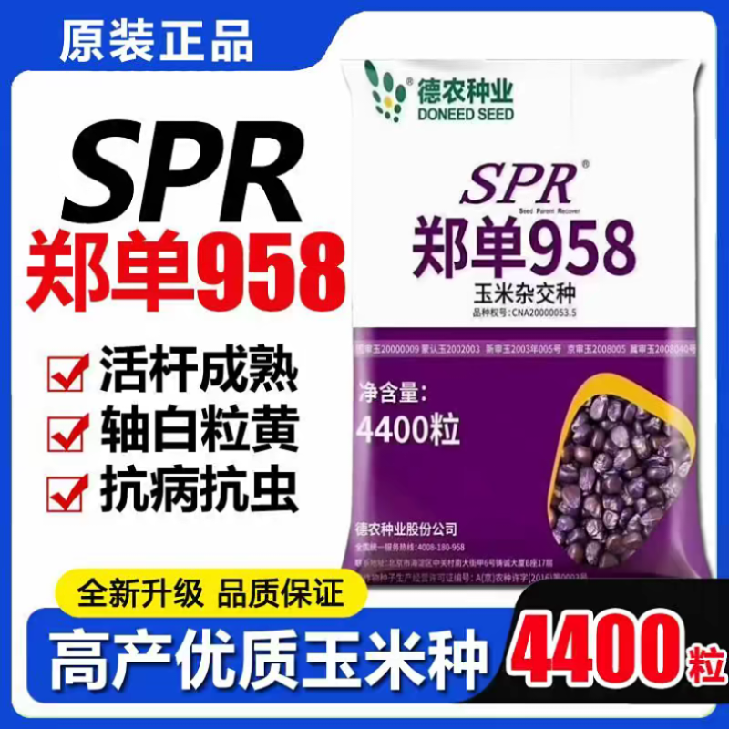 北京德农郑单958SPR升级版大田大户4400粒/袋国审