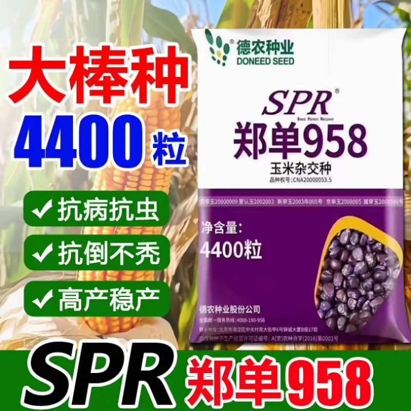 北京德农郑单958SPR升级版大田大户4400粒/袋国审