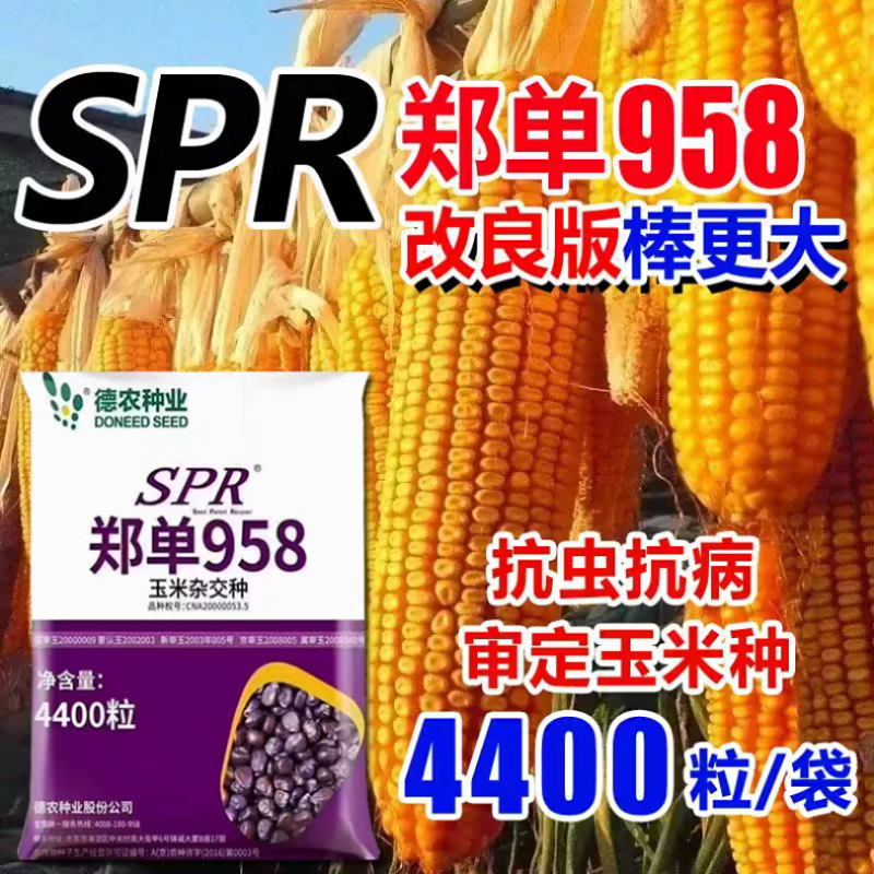 北京德农郑单958SPR升级版大田大户4400粒/袋国审