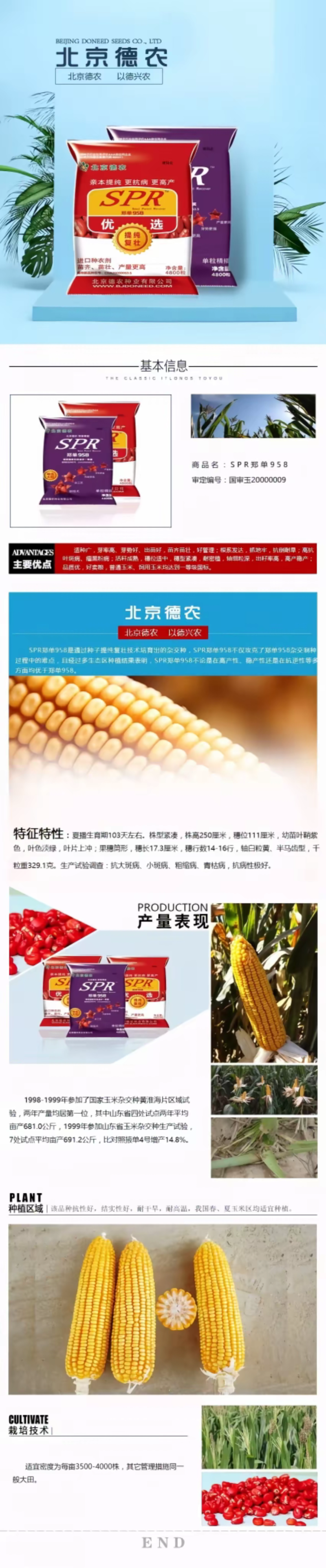北京德农郑单958SPR升级版大田大户4400粒/袋国审