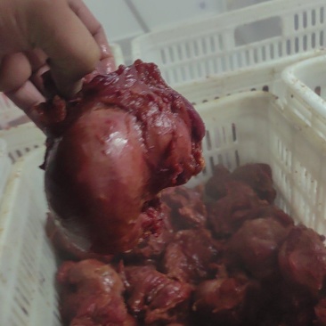 五香牛肉味前建子全熟，满满筋