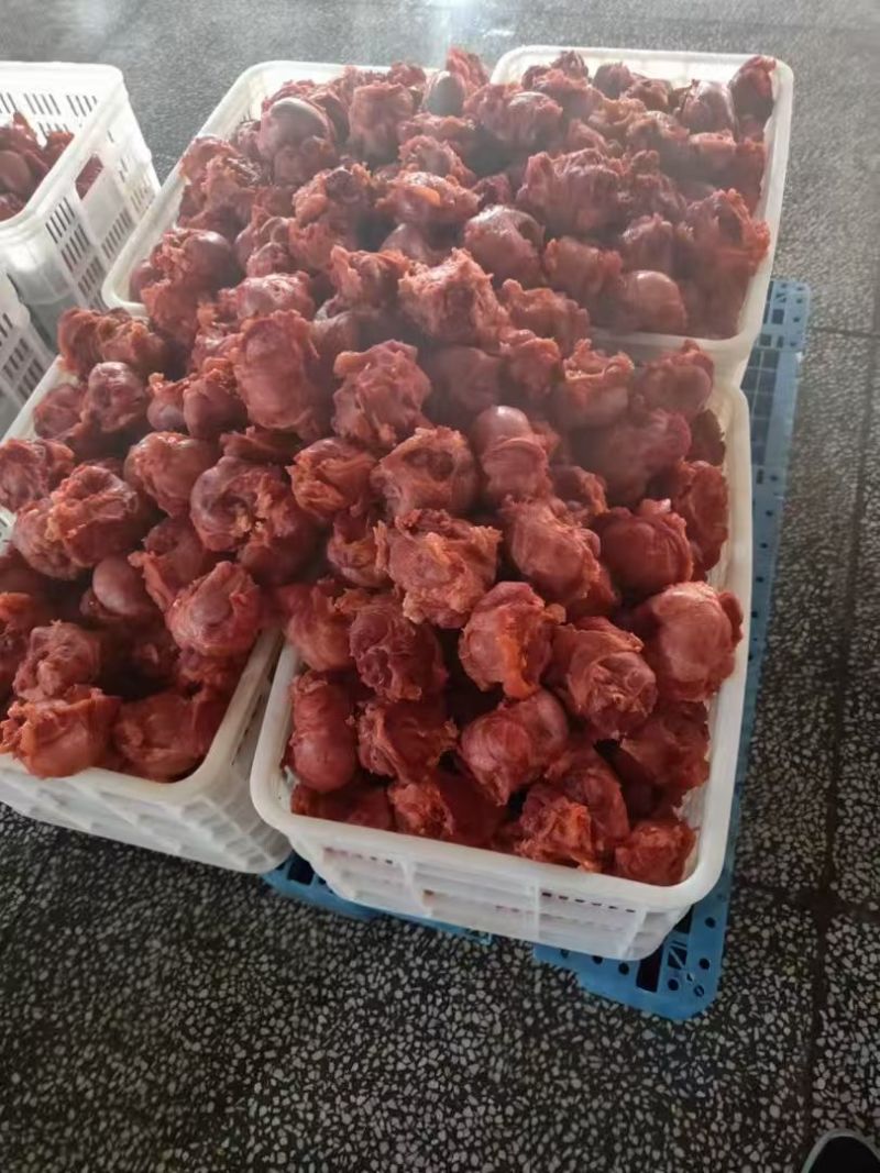 五香牛肉味前建子全熟，满满筋