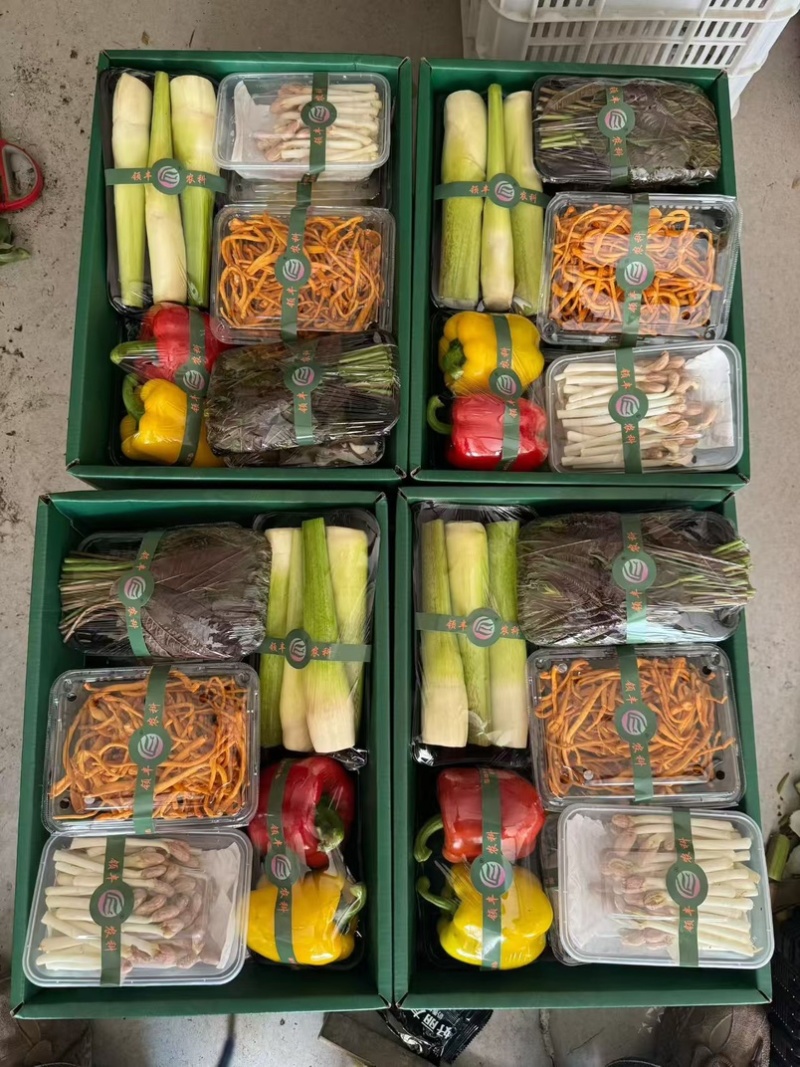 寿光蔬菜套餐礼包精品蔬菜定制对接全国品质好