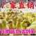 大白鹅苗