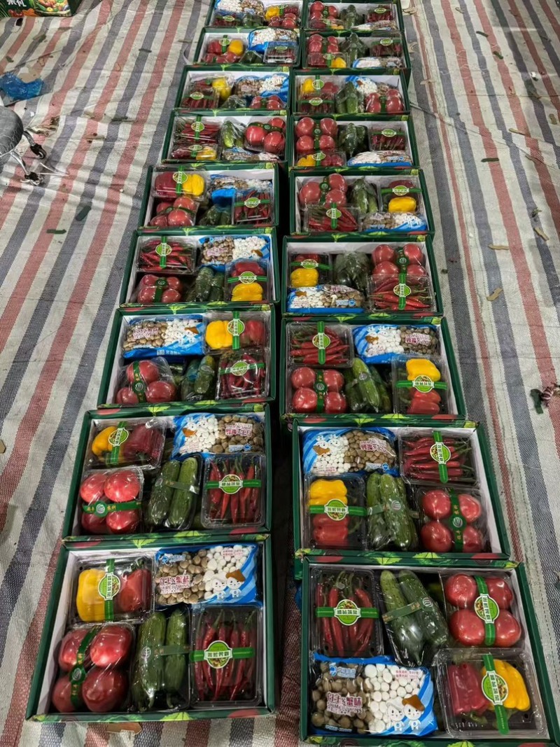 蔬菜礼包套盒精品定制对接全国按需定制欢迎咨询