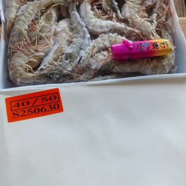厄瓜多尔南美白虾对虾