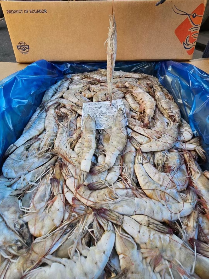 厄瓜多尔南美白虾对虾