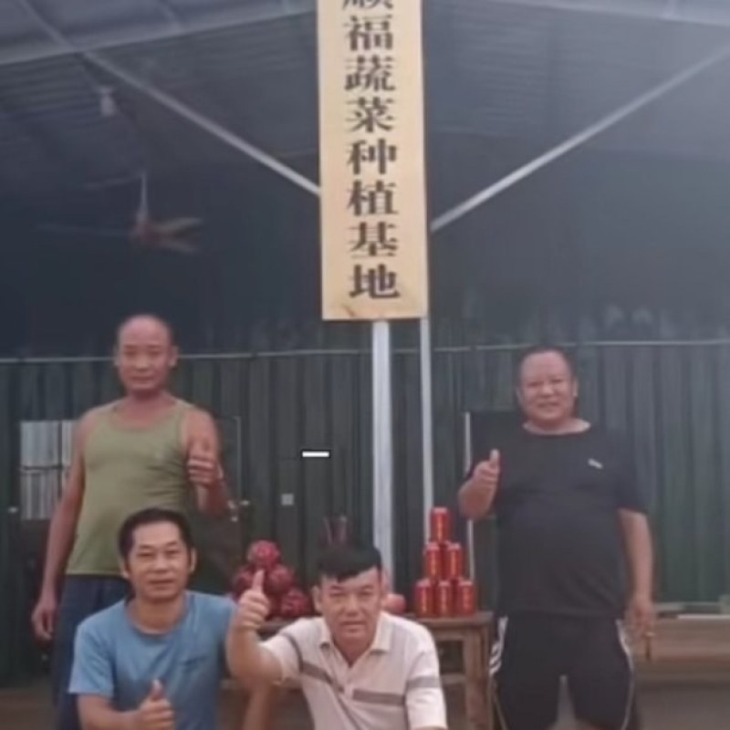 黑皮鸡枞菌基地直发