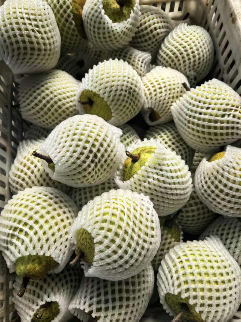莱阳梨，个头大，口感甜，量大从优，欢迎咨询