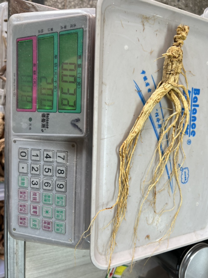 林下参10年以上子货，精品木盒，送礼**，经济实惠