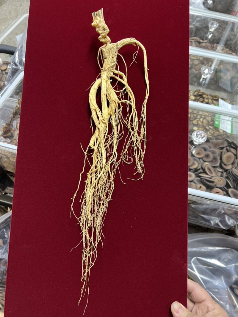 林下参10年以上子货，精品木盒，送礼**，经济实惠