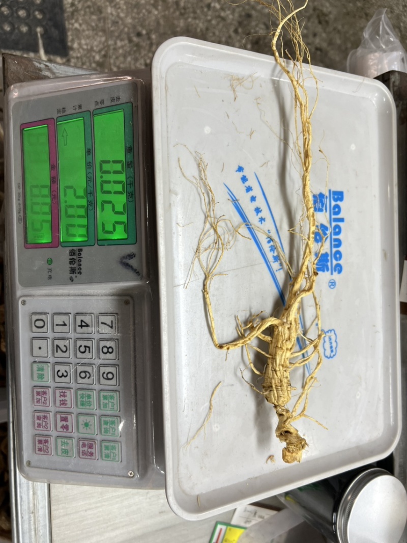 林下参10年以上子货，精品木盒，送礼**，经济实惠
