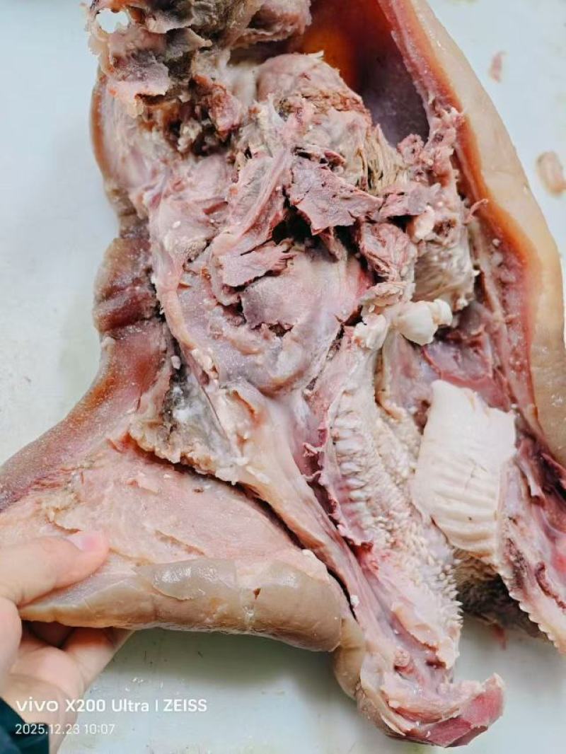 精修牛头肉