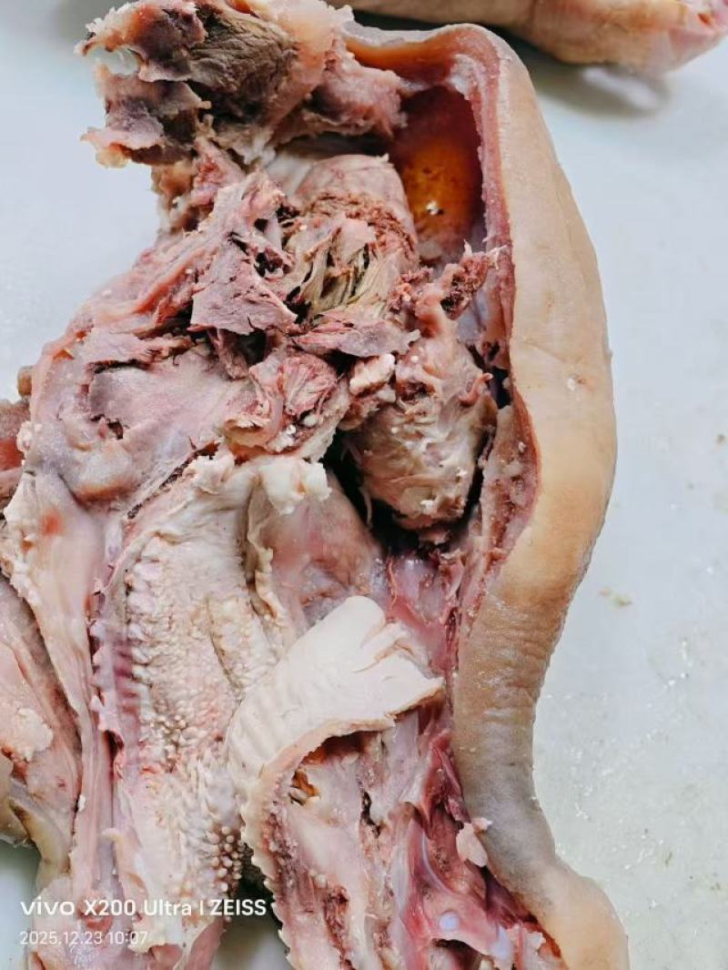 精修牛头肉