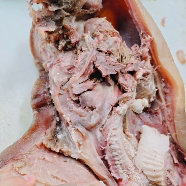 精修牛头肉