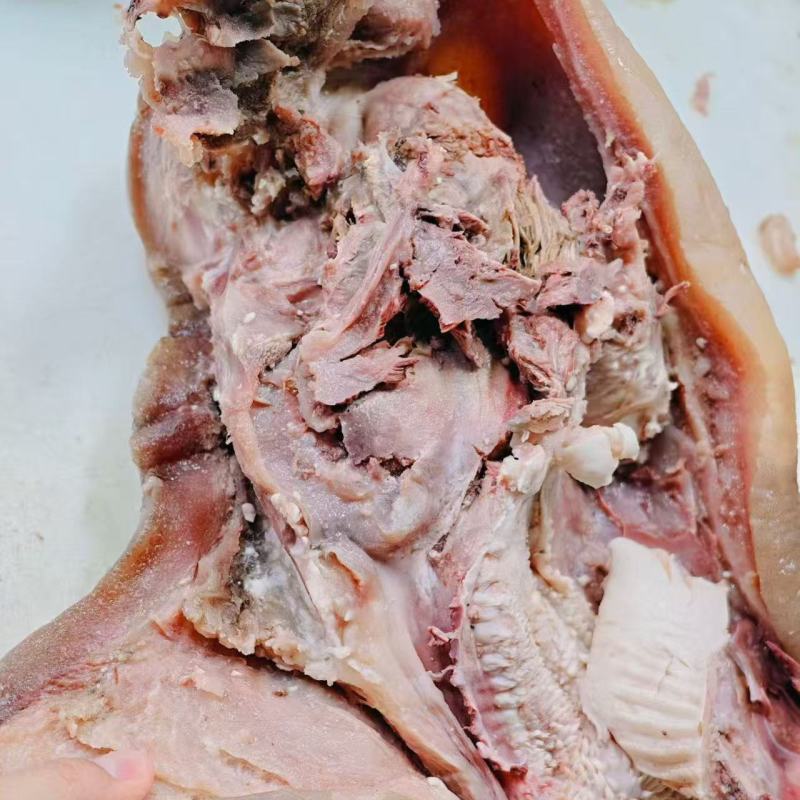 精修牛头肉