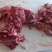 天成羊肉