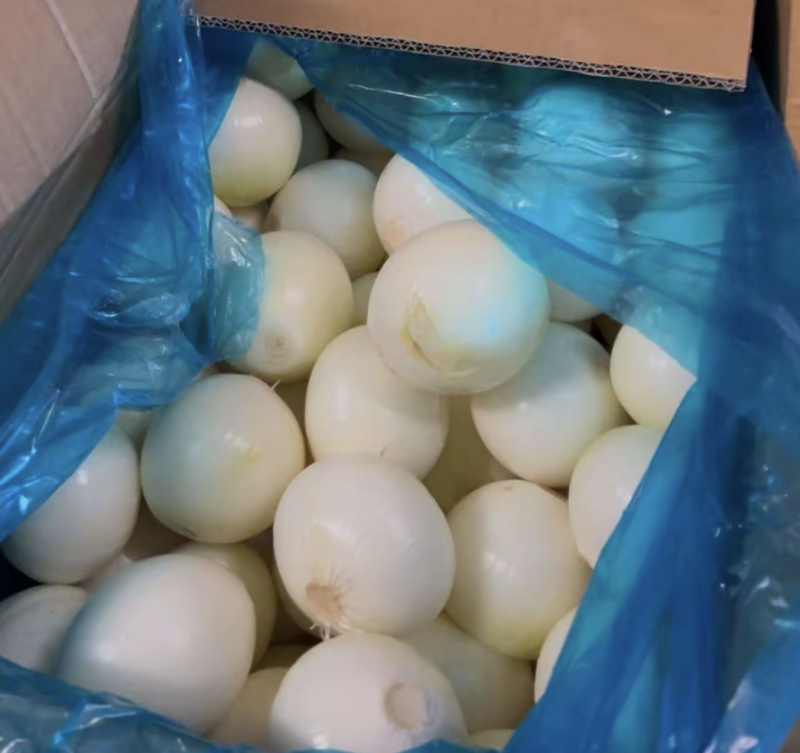 山东红皮葱紫皮葱黄皮葱产地大量供应食品厂葱缅甸葱商超对接