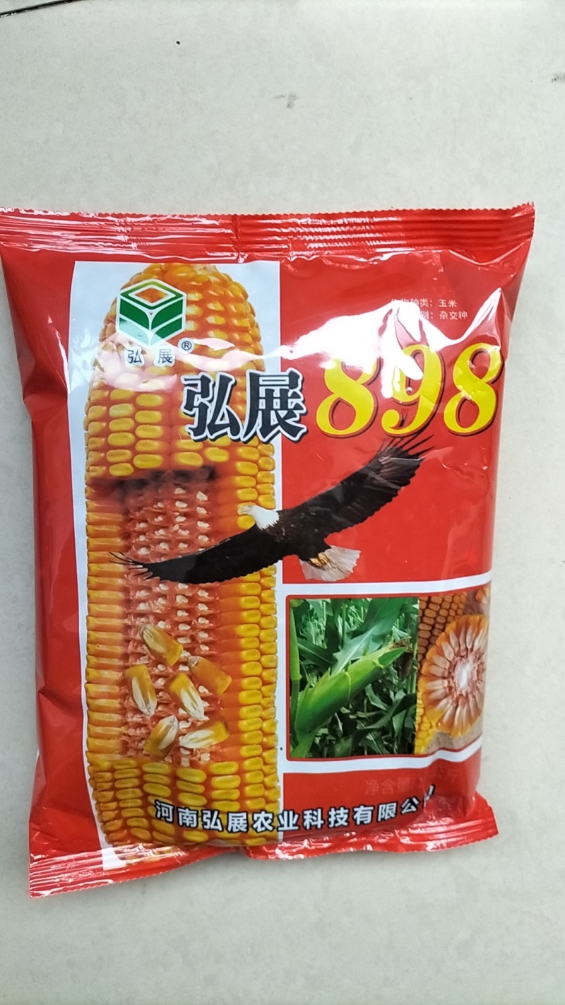 高产玉米种子大棒抗青枯抗锈抗抗穗腐黄金粮品质好