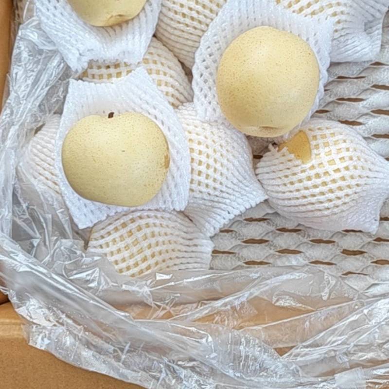 农户精品高质量皇冠梨装车中，有需要的老板联系
