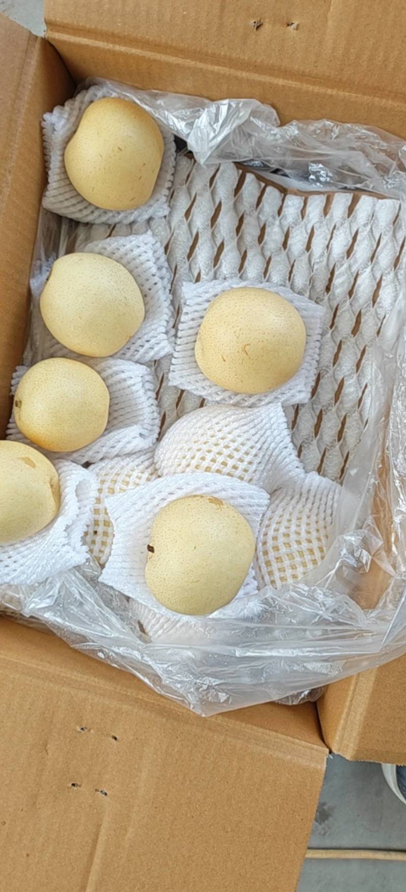 农户精品高质量皇冠梨装车中，有需要的老板联系