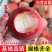 果园直发桃树苗新品种抗蚜玉妃桃七月中下旬成熟保真品种成活