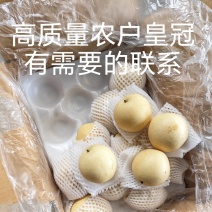 农户高质量皇冠梨，低价格，市场质量，有需要的老板联系