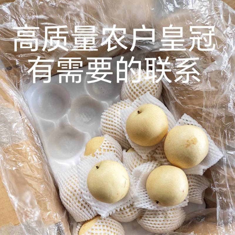 农户高质量皇冠梨，低价格，市场质量，有需要的老板联系