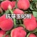 果园直发桃树苗新品种抗蚜玉妃桃七月中下旬成熟保真品种成活
