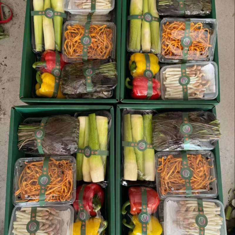 【蔬菜礼包】寿光套菜，精品套菜定制顺丰一件代发