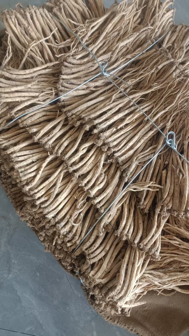 甘肃岷县白条党参，产地直发，量大价优，支持视频看货