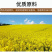 菜当家菜籽油大量抢购
