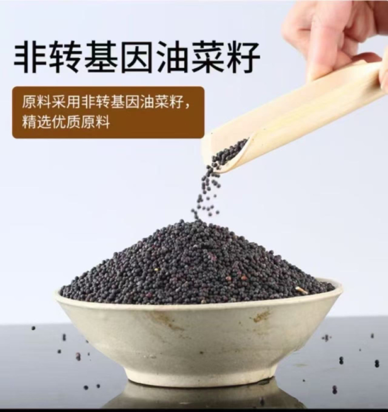 菜当家菜籽油大量抢购