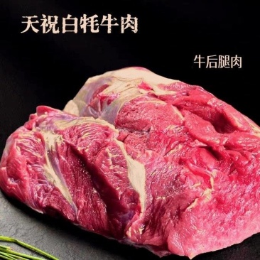 天祝高原白牦牛肉