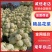 浙江温州本地花椰菜/白面青梗菜花/大量有货