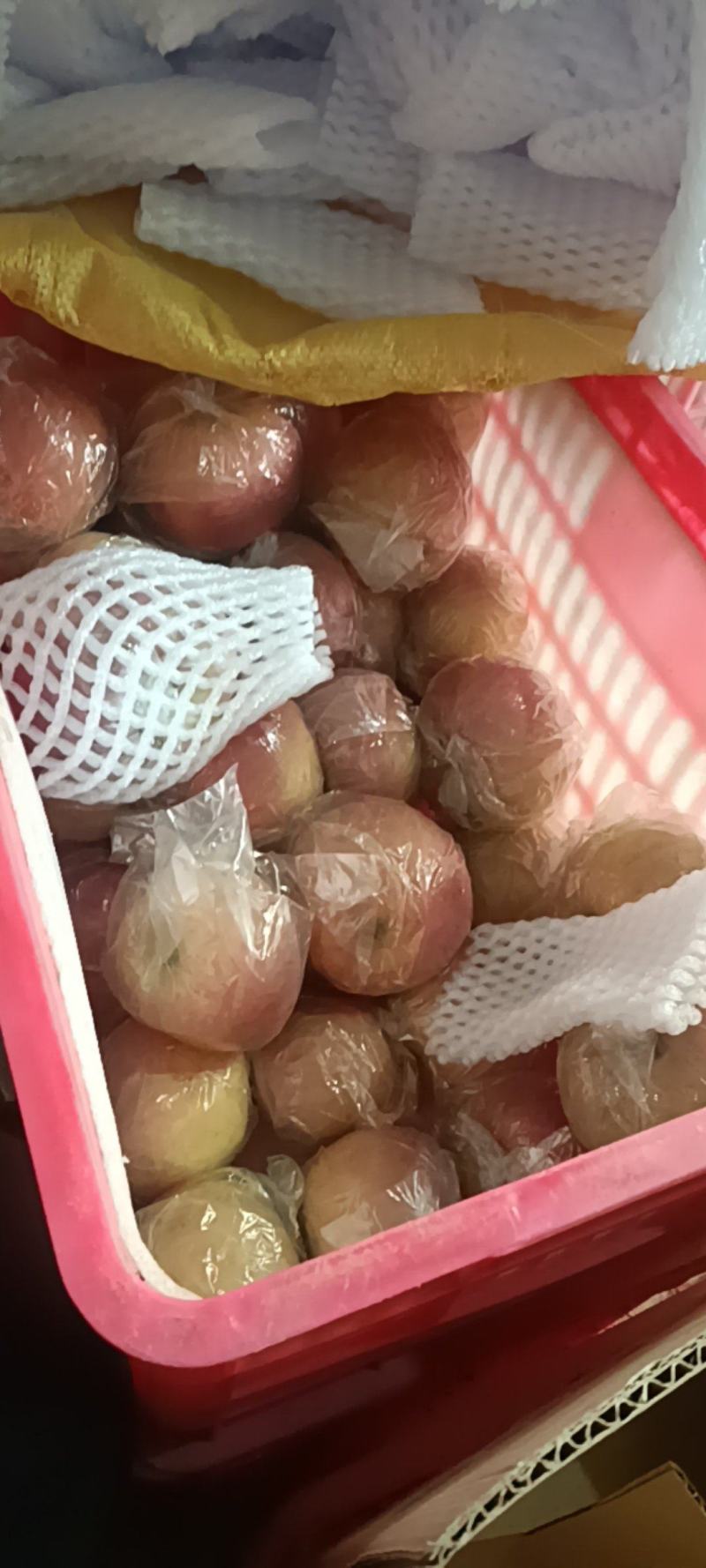 红富士苹果产地直发价格优惠支持视频看货欢迎来电洽谈